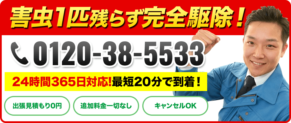 今すぐ無料相談