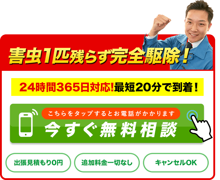 今すぐ無料相談